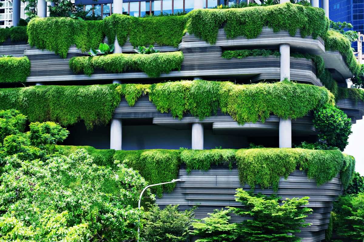 The Most Eco-Friendly Places on Earth You Should Visit