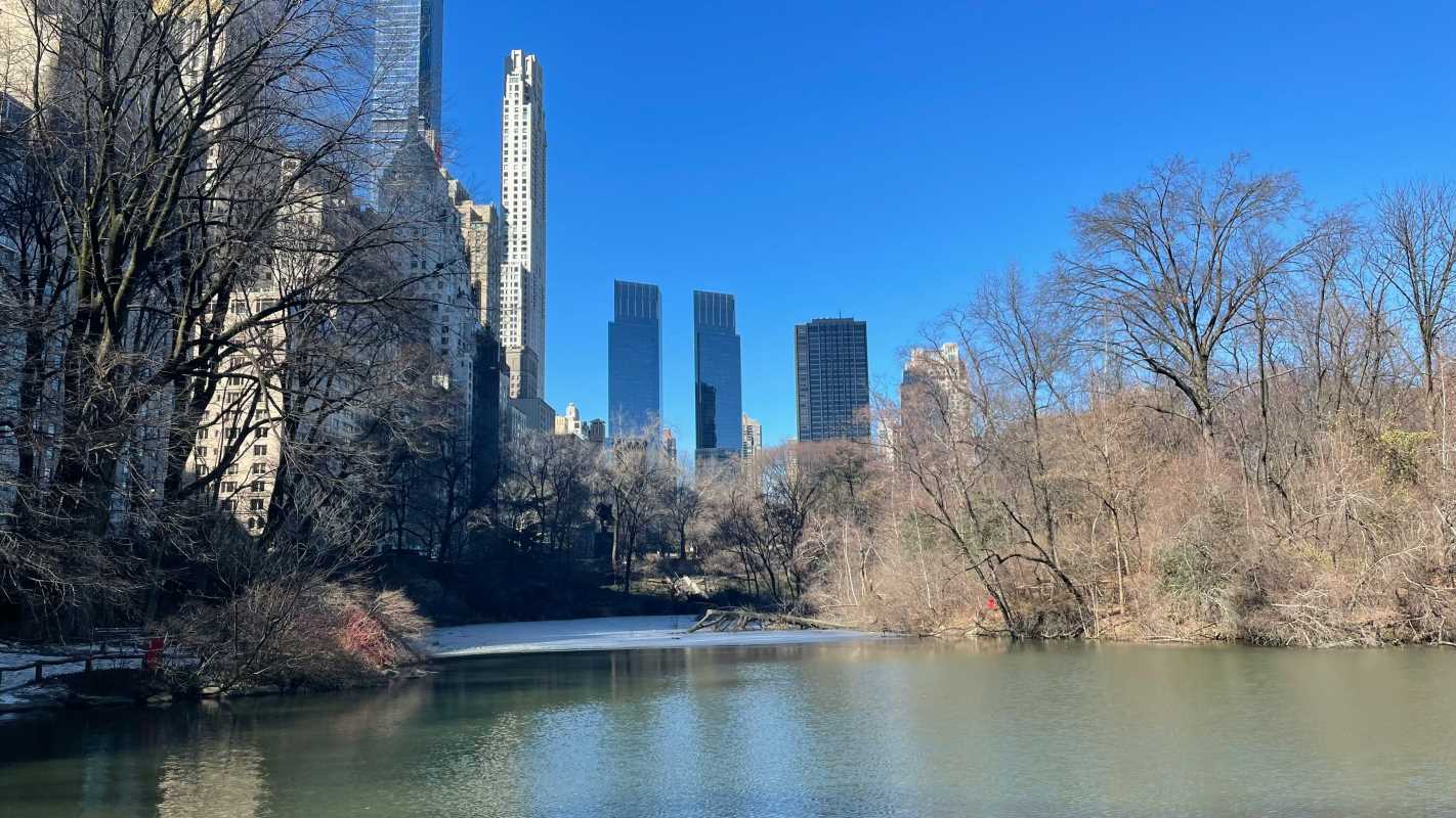 How to Picnic in Central Park Like a True New Yorker 
