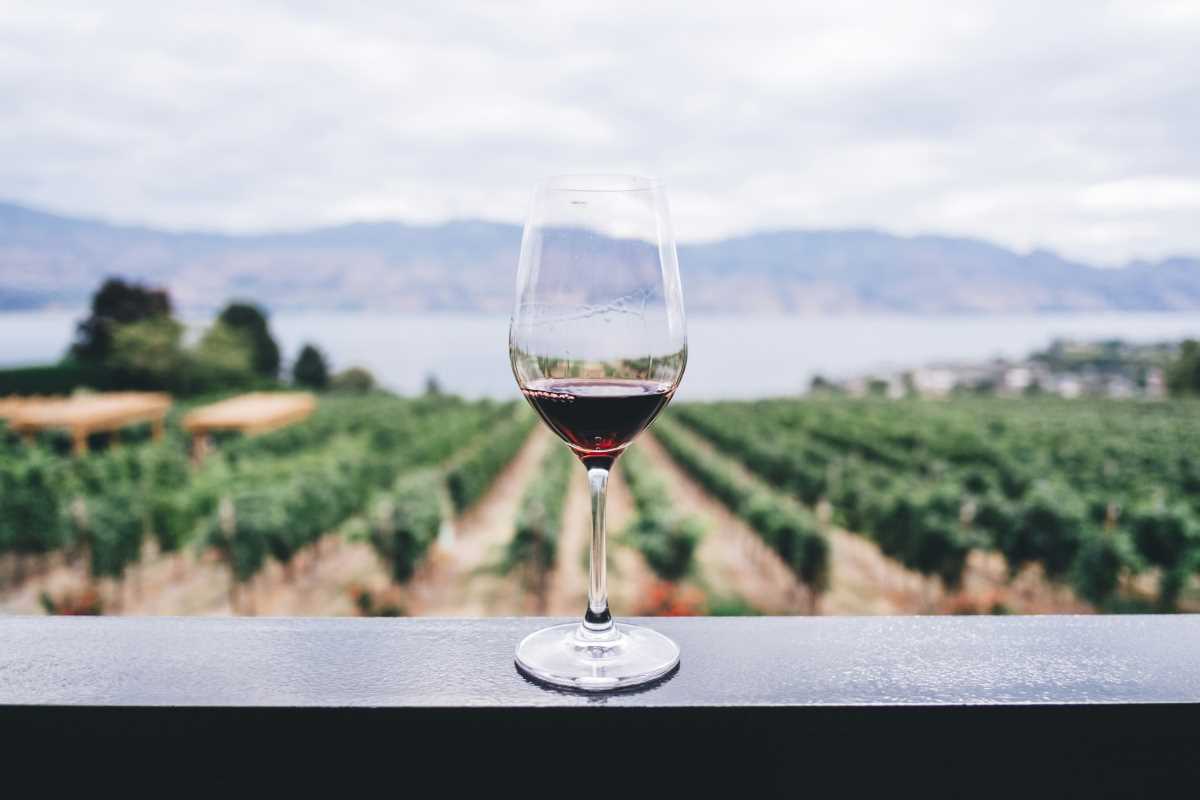 The 5 Largest Wineries Around the US Worth Visiting